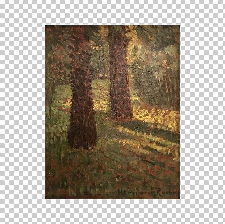 Painting Temperate Coniferous Forest Biome Wood PNG, Clipart, Art, Biome, Conifers, Ecosystem, Forest Free PNG Download