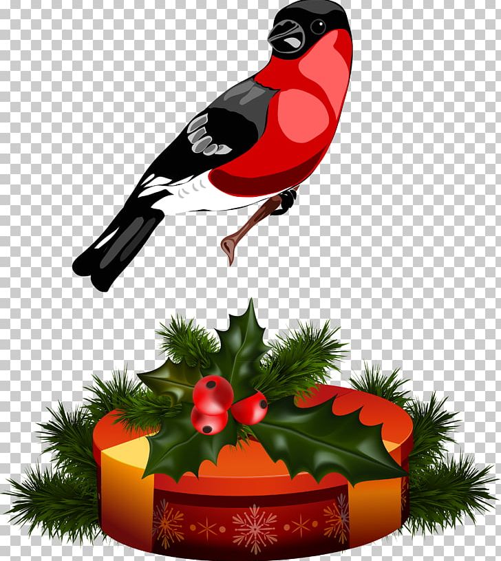 Christmas Ornament PNG, Clipart, Beak, Bird, Blog, Christmas, Christmas Decoration Free PNG Download