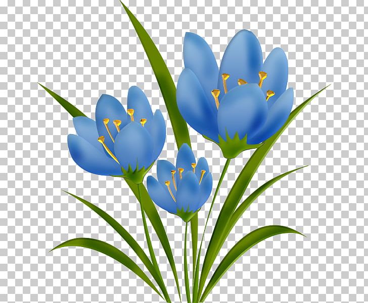 Crocus Tulip Plant Stem Petal Herbaceous Plant PNG, Clipart, Crocus, Flower, Flowering Plant, Herbaceous Plant, Iris Family Free PNG Download