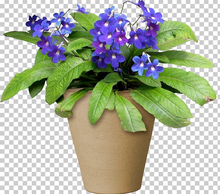 Flowerpot Light PNG, Clipart, Blue, Borage Family, Brightness, Color, Color Temperature Free PNG Download
