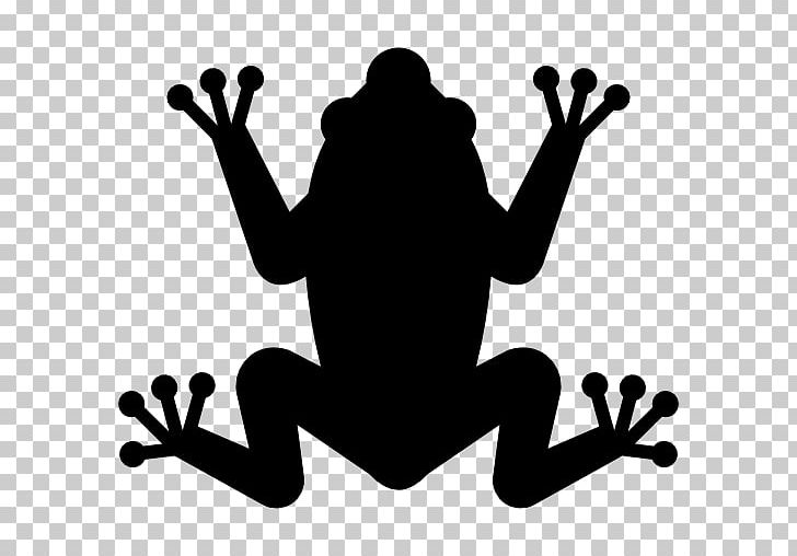 Frog Computer Icons Amphibians PNG, Clipart, Amphibian, Amphibians, Animals, Biology, Black And White Free PNG Download