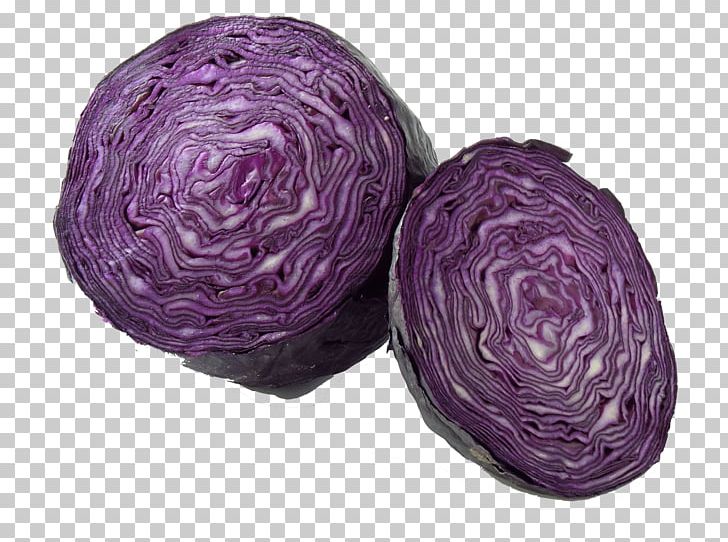 Vegetable Red Cabbage Coleslaw PNG, Clipart, Brassica Oleracea, Cabbage, Coleslaw, Cooking, Cuisine Free PNG Download