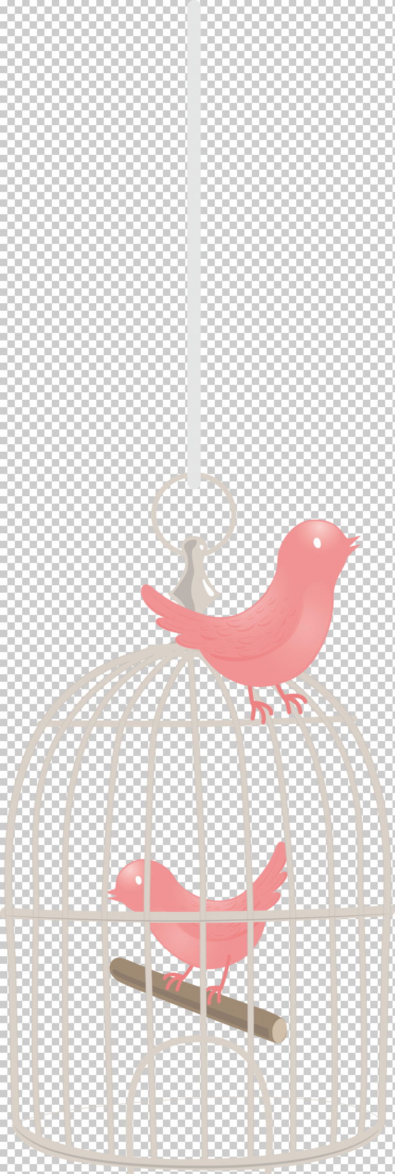 Bird Cage PNG, Clipart, Bird Cage, Light, Light Fixture, Physics, Science Free PNG Download