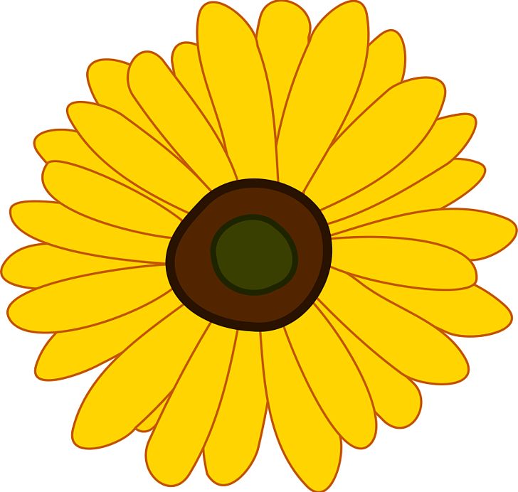 Common Sunflower PNG, Clipart, Calendula, Circle, Clip Art, Clipart, Common Sunflower Free PNG Download