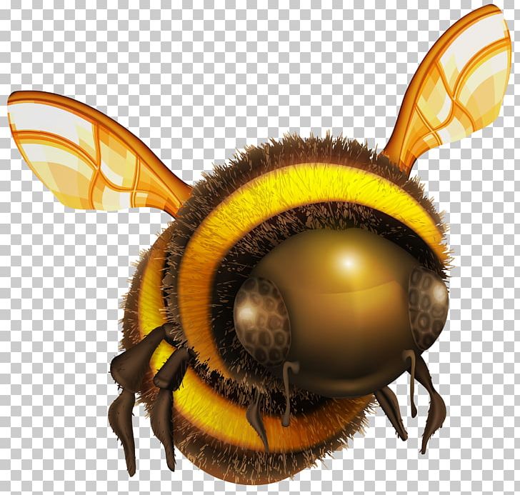 Honey Bee Computer Icons PNG, Clipart, Arthropod, Bee, Beehive, Computer Icons, Honey Bee Free PNG Download