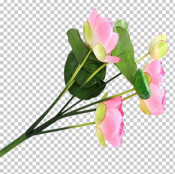 Nelumbo Nucifera Floral Design Flower Lotus Effect PNG, Clipart, Artificial Flower, Bud, Cut Flowers, Floristry, Flower Arranging Free PNG Download