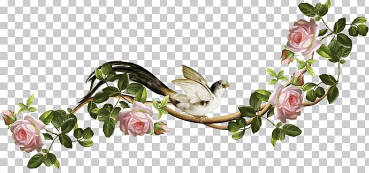 Leaf Branch Others PNG, Clipart, Adobe Systems, Blog, Blossom, Body Jewelry, Branch Free PNG Download