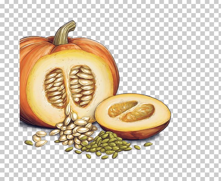 Pumpkin Bread Squash Soup Pumpkin Pie Pumpkin Seed PNG, Clipart, Calabaza, Calorie, Commodity, Cucumber Gourd And Melon Family, Cucurbita Free PNG Download