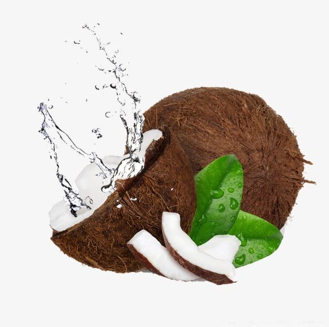 Coconut Water PNG, Clipart, Coconut, Coconut Clipart, Coconut Clipart, Coconut Water, Copra Free PNG Download