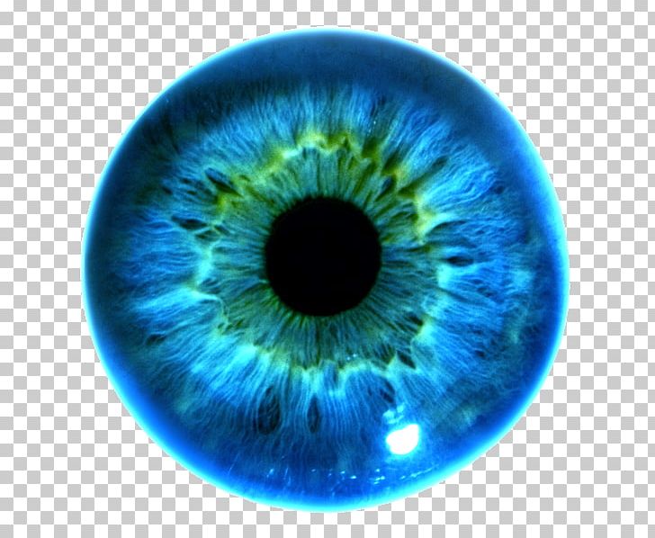 Iris Recognition Eye Color Pupil PNG, Clipart, Aperture, Blue, Cats Eye, Circle, Closeup Free PNG Download