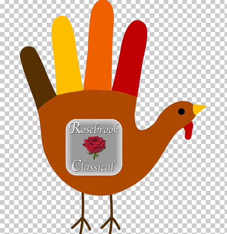 Turkey Meat Drawing Paper PNG, Clipart, Art, Beak, Bird, Chicken, Color Free PNG Download