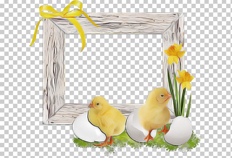 Picture Frame PNG, Clipart, Atlantic Canary, Beak, Bird, Easter, Perching Bird Free PNG Download