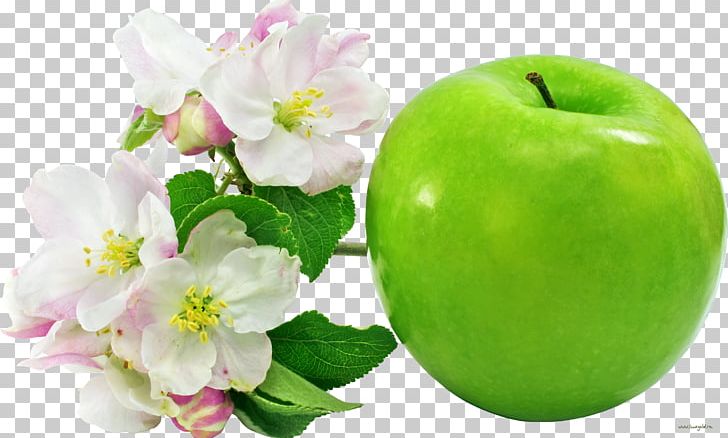 Apple Green Stock Photography PNG, Clipart, Apple, Desktop Wallpaper, Diet Food, Download, Flower Free PNG Download