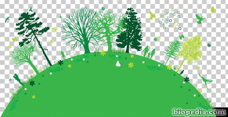 Arbor Day Foundation Tree Planting What Tree Is That? PNG, Clipart, Arbor Day, Arbor Day Foundation, Bark, Branch, Computer Wallpaper Free PNG Download