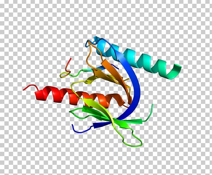 CD29 Integrin VLA-4 Receptor Reelin PNG, Clipart, Animal Figure, Area, Art, Artwork, Cardiac Muscle Free PNG Download