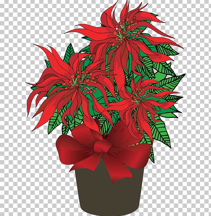 Poinsettia Plant Christmas PNG, Clipart, Blog, Christmas, Cut Flowers, Floral Design, Floristry Free PNG Download