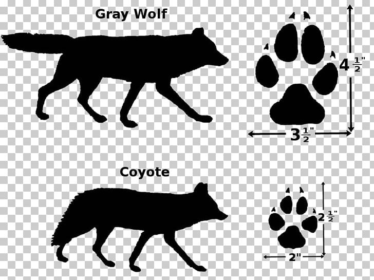 Coyote Dog Breed Whiskers Cat Cougar PNG, Clipart, Animal, Animals, Animal Track, Black, Black And White Free PNG Download