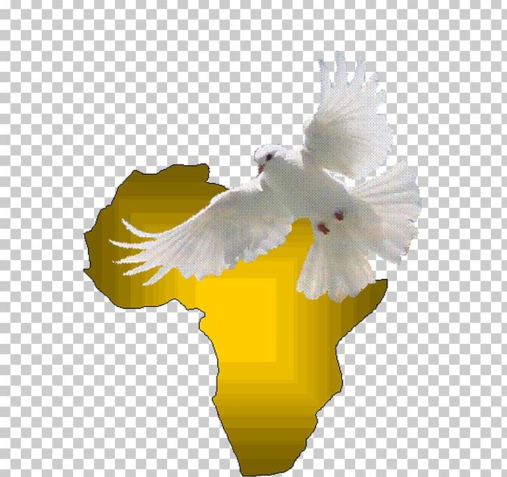 Eagle Holy Spirit Beak Doves As Symbols Feather PNG, Clipart, Act, Africa, Aia, Animals, Assemblies Of God Free PNG Download