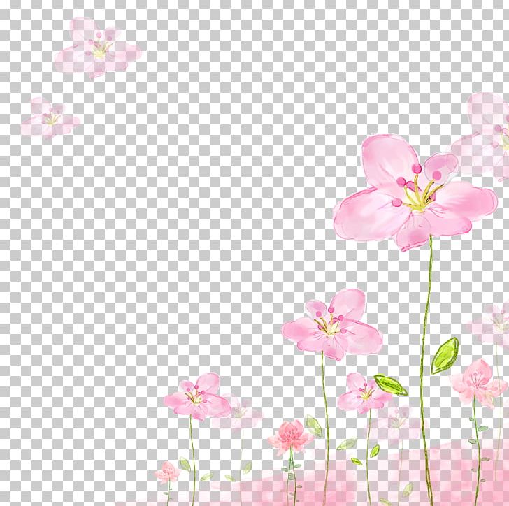 Flower Pink Petal PNG, Clipart, Blossom, Branch, Cherry Blossom, Cool, Cut Flowers Free PNG Download