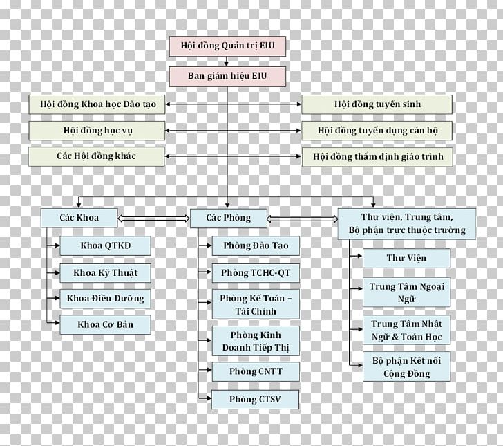 Ho Chi Minh City International University Eastern International University National Economics University Ho Chi Minh City University Of Information Technology Organization PNG, Clipart, Angle, Area, Brand, College, Diagram Free PNG Download