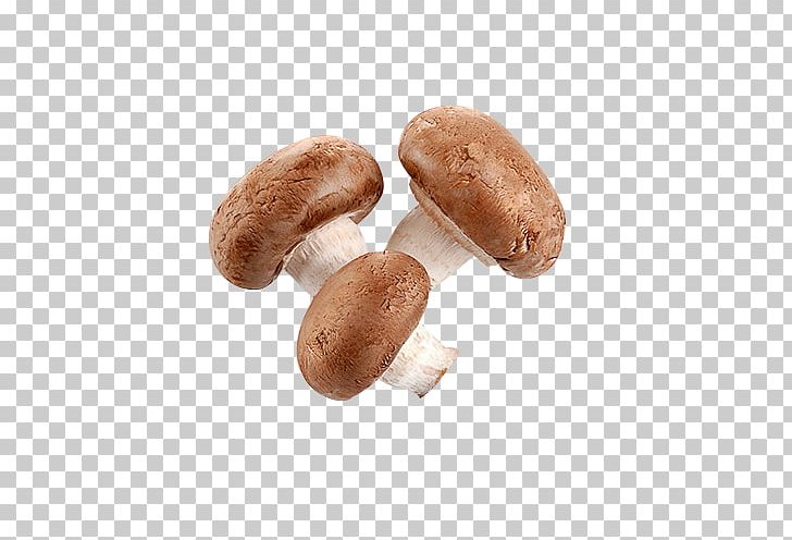 Shiitake Common Mushroom Hen-of-the-wood PNG, Clipart, Edible Mushroom, Extract, Food, Fungus, Henofthewood Free PNG Download