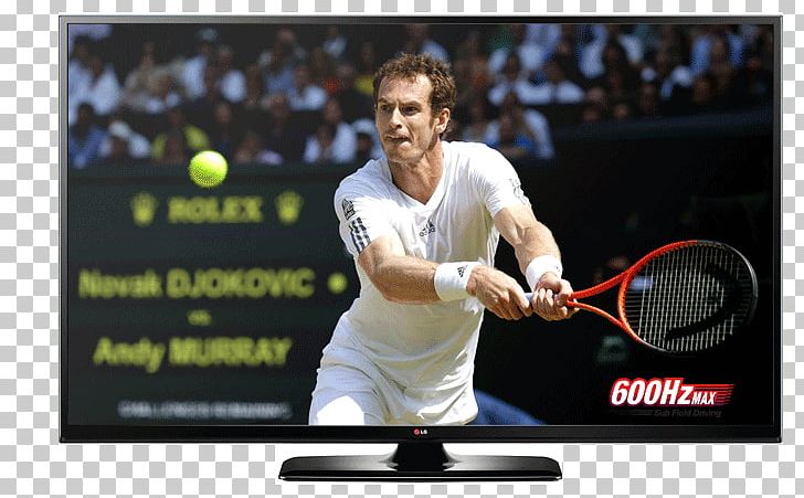 2013 Wimbledon Championships Tennis French Open 2017 Wimbledon Championships – Men's Singles PNG, Clipart,  Free PNG Download