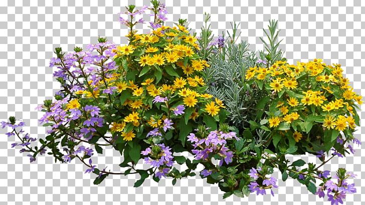 Flower Plant Shrub PNG, Clipart, Annual Plant, Bushes, Cut Flowers, Flora, Floral Design Free PNG Download