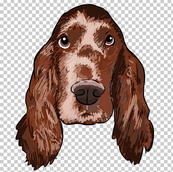 Irish Setter Boykin Spaniel Field Spaniel Sussex Spaniel English Cocker Spaniel PNG, Clipart, Boykin Spaniel, Breed, Carnivoran, Coat, Dog Free PNG Download