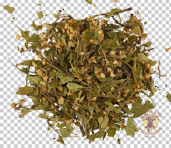 Masala Chai Tea Herb Oolong Hōjicha PNG, Clipart, Black Tea, Crataegus, Flower, Food Drinks, Green Tea Free PNG Download