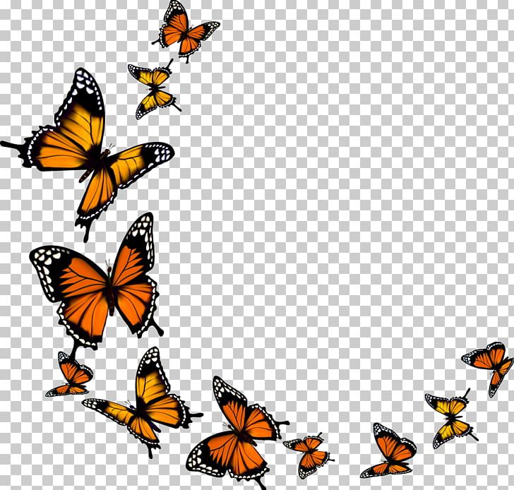 Monarch Butterfly PNG, Clipart, Arthropod, Artwork, Brush Footed Butterfly, Butte, Butterflies And Moths Free PNG Download