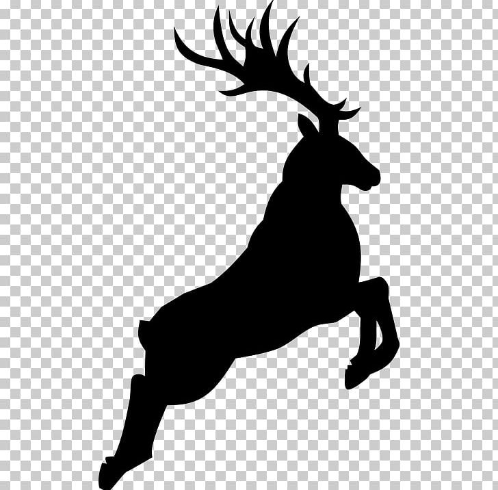 Reindeer Rudolph PNG, Clipart, Antler, Black And White, Deer, Drawing, Horn Free PNG Download