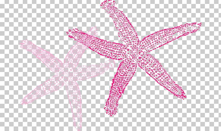 Starfish Color PNG, Clipart, Animal, Animals, Blue, Clip Art, Color Free PNG Download