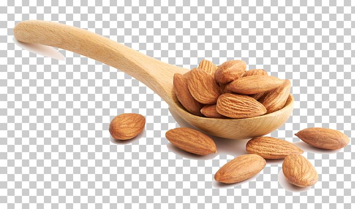 Almond Nut Stock Photography Illustration PNG, Clipart, Almond, Almond Nut, Almonds, Dried Fruit, Euclidean Vector Free PNG Download