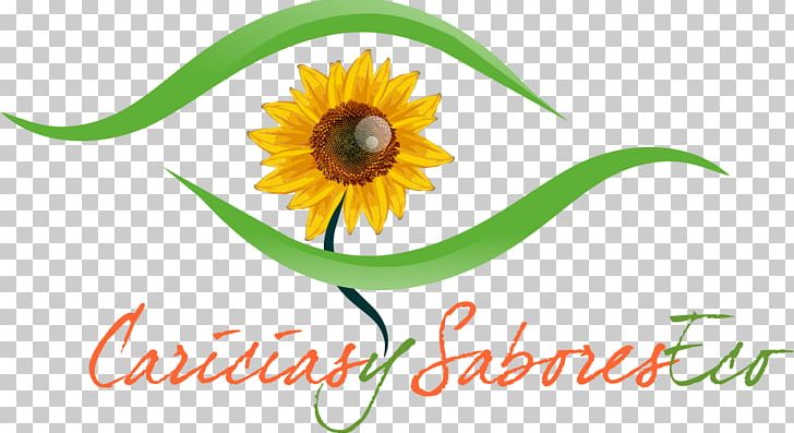 Aromatherapy Sunflower M Logo PNG, Clipart, Aromatherapy, Artwork, Flower, Flowering Plant, Happiness Free PNG Download