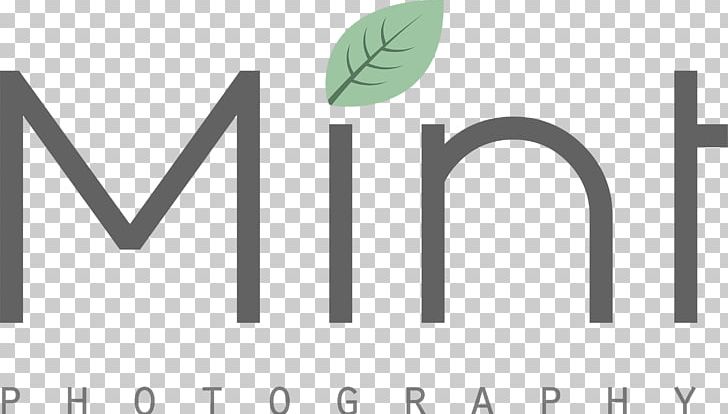 Logo Brand Green MINT Kids Photography PNG, Clipart, Angle, Art, Brand, Child, Circle Free PNG Download