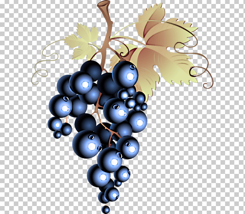 Grape Fruit Grapevine Family Berry Plant PNG, Clipart, Berry, Fruit, Grape, Grape Leaves, Grapevine Family Free PNG Download