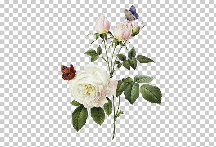 Roses Canvas Print Painting Printmaking PNG, Clipart, Artificial Flower, Branch, Canvas, Flower, Flower Arranging Free PNG Download