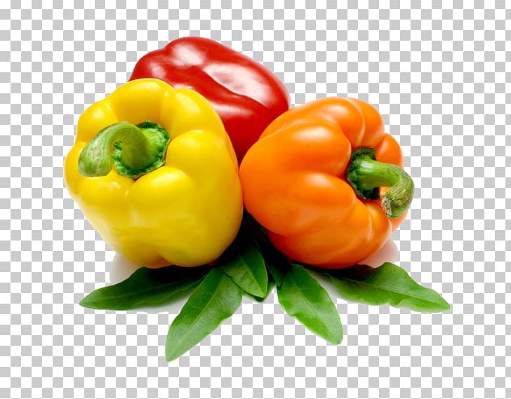 Bell Pepper Vegetable Cucumber Fruit Chili Pepper PNG, Clipart, Bell Peppers And Chili Peppers, Capsicum, Eating, Food, Healthy Diet Free PNG Download