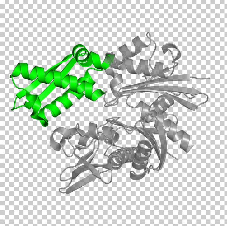 Hsp70 Heat Shock Protein Chaperone PNG, Clipart, 2arachidonoylglycerol, Angle, Biochemistry, Caption, Chaperone Free PNG Download
