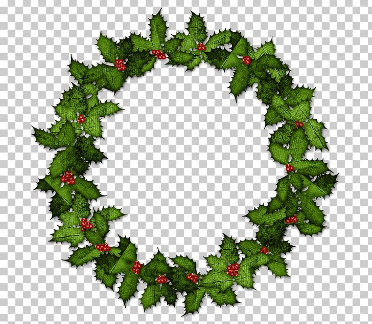 Lei Graphics Hawaii PNG, Clipart, Aquifoliaceae, Aquifoliales, Branch, Christmas, Christmas Decoration Free PNG Download
