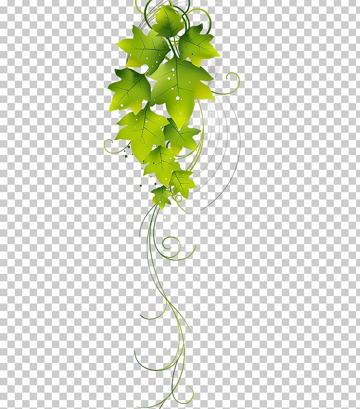 Misgurnus Fossilis Illustration Photography PNG, Clipart, Art, Branch, Computer Icons, Drawing, Flora Free PNG Download