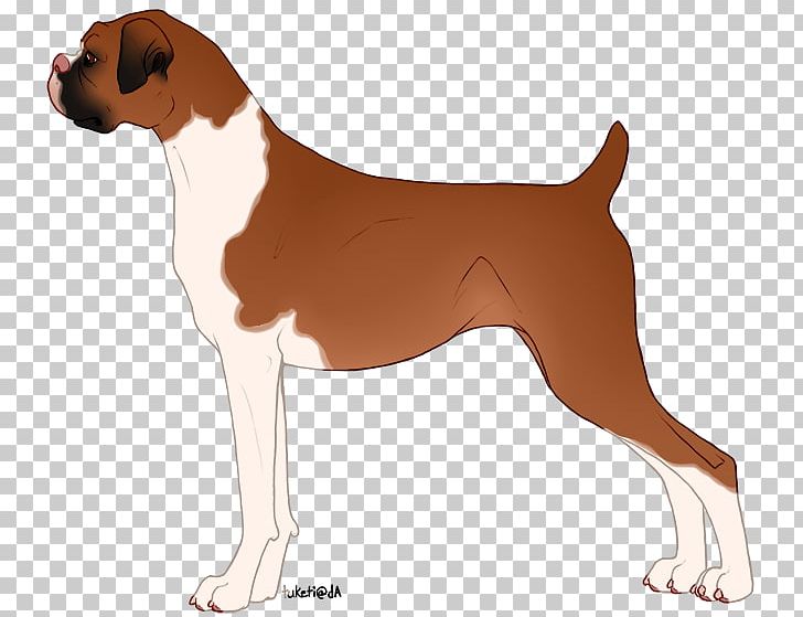 Dog Breed English Foxhound Harrier Boxer PNG, Clipart, Boxer, Breed, Carnivoran, Dog, Dog Breed Free PNG Download