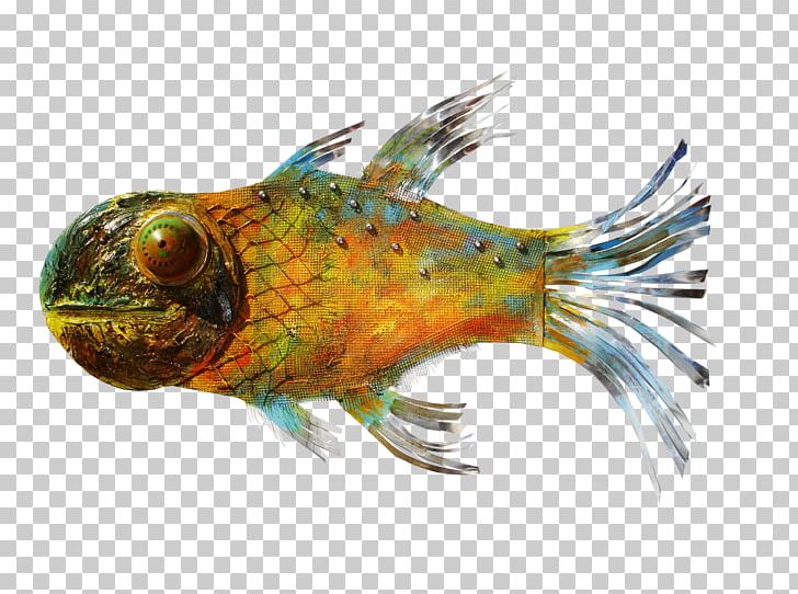 Fish PNG, Clipart, Fauna, Fish, Organism, Others, Pez Free PNG Download