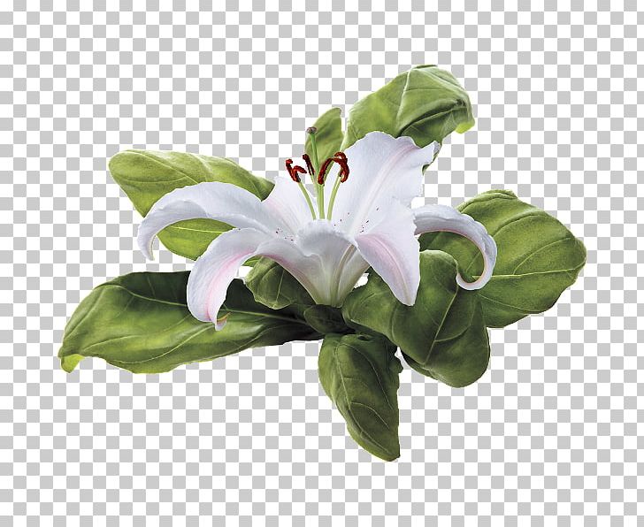 Flower Bouquet Madonna Lily Embroidery PNG, Clipart, Birthday, Crossstitch, Digital Image, Embroidery, Flower Free PNG Download