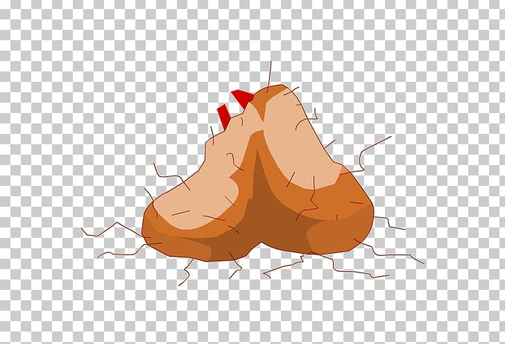 Testicle PNG, Clipart, Art, Description, File Size, Internet Media Type, Jaw Free PNG Download