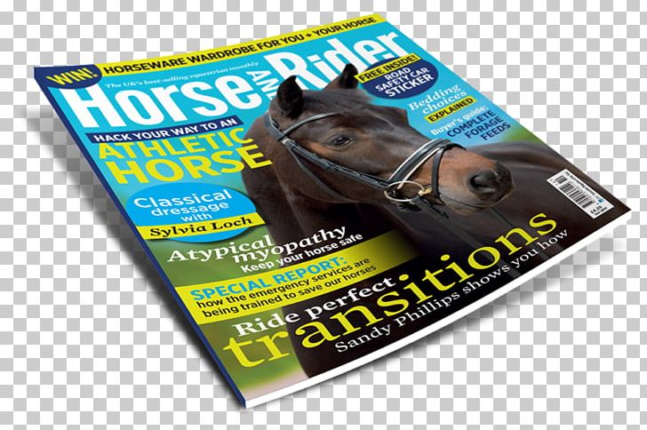 Horse Equestrian Advertising Brand Product PNG, Clipart, Advertising, Brand, Equestrian, Horse, Magazine Free PNG Download