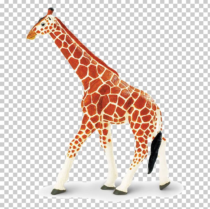 Reticulated Giraffe Toy Wildlife Safari Ltd Animal Figurine PNG, Clipart, Amazoncom, Animal, Animal Figure, Animal Figurine, Animal Sauvage Free PNG Download