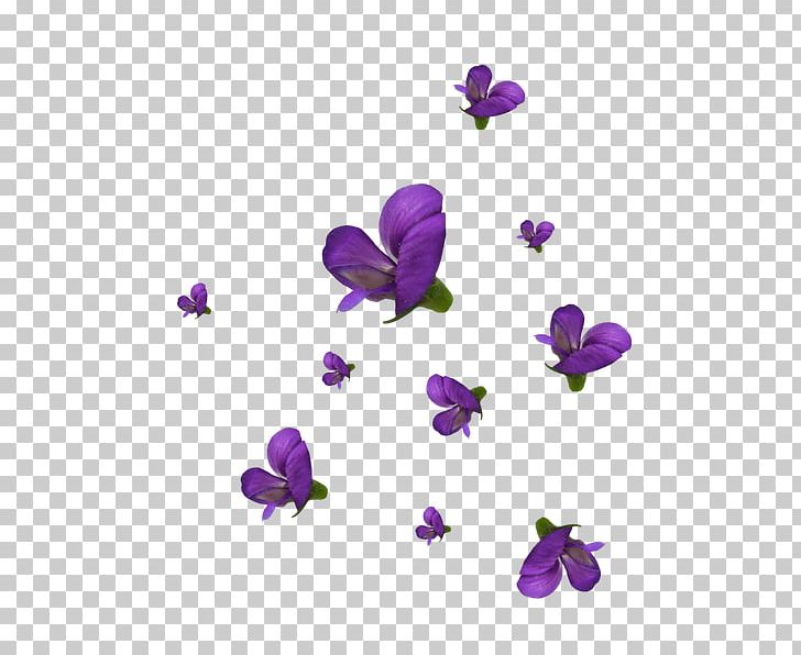 Violet Cut Flowers Petal Viola PNG, Clipart, Butterfly, Cut Flowers, Flower, Flowering Plant, Insect Free PNG Download