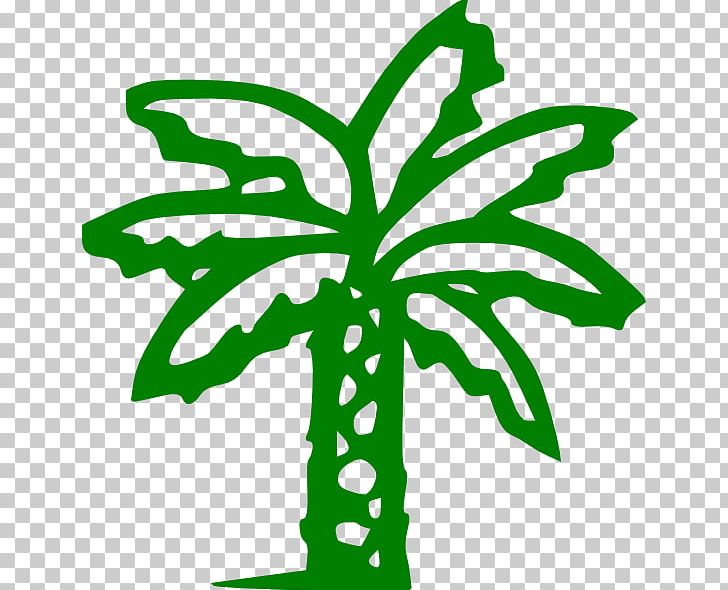 Arecaceae PNG, Clipart, Arecaceae, Artwork, Coconut, Date Palm, Download Free PNG Download
