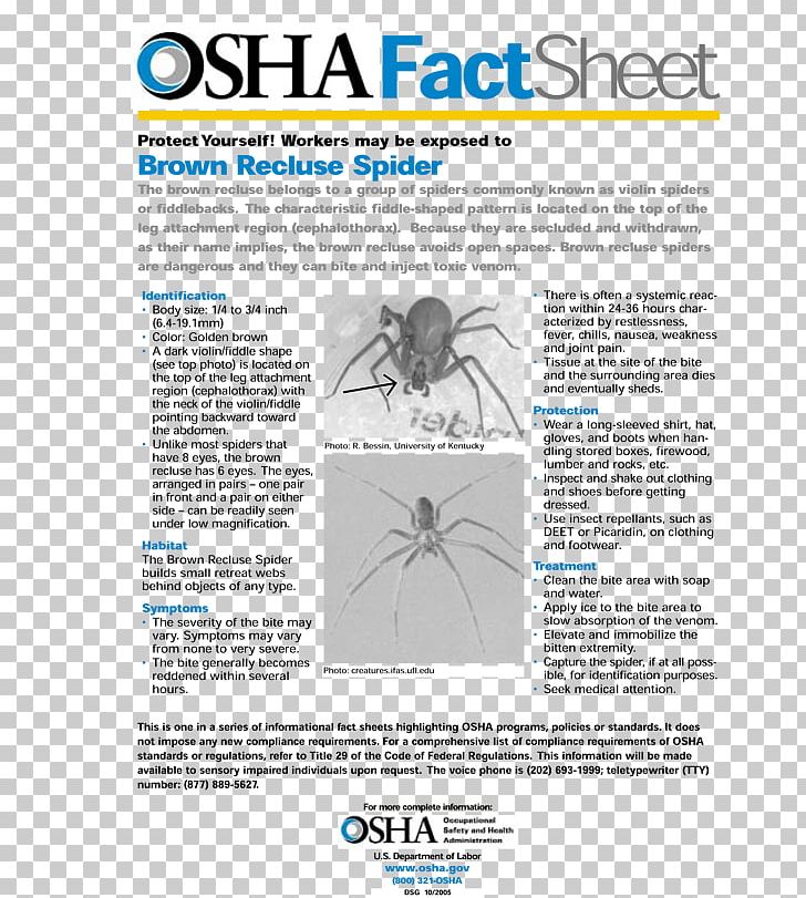 Brown Recluse Spider Pest Control Spider Bite Exterminator PNG, Clipart, Area, Brown Recluse Spider, Brown Widow, Exterminator, Fact Free PNG Download